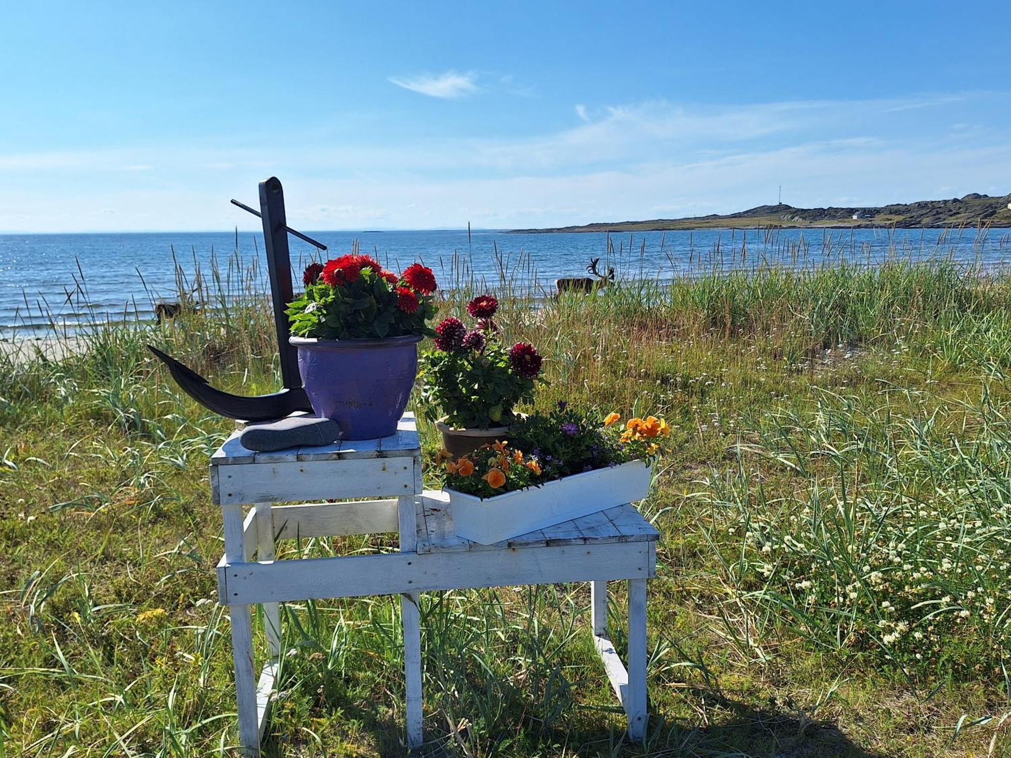 Feriehus Ved Barentshavet - Holiday Home By The Barents Sea Ytre Kiberg Exteriör bild